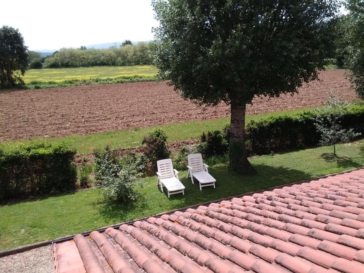 Agriturismo La Ripa Vila Reggello Exterior foto
